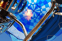 Embraceable-Blue-In-the-Basket-Up